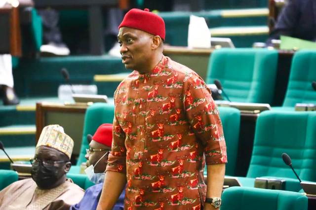 Nigeria/Arab Emirate Diplomatic Row: Reps Intervenes To Save Nigerians In A Motion By Elumelu